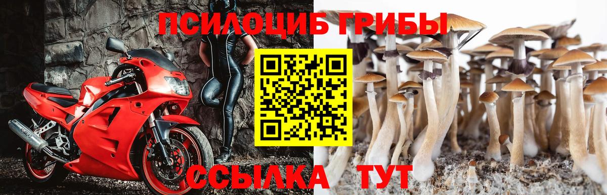 Галлюциногенные грибы мухоморы  Вход с VPN  Тулун 