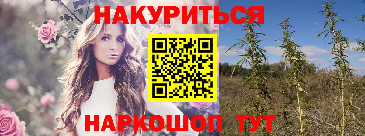 Бошки Шишки тримм Тулун